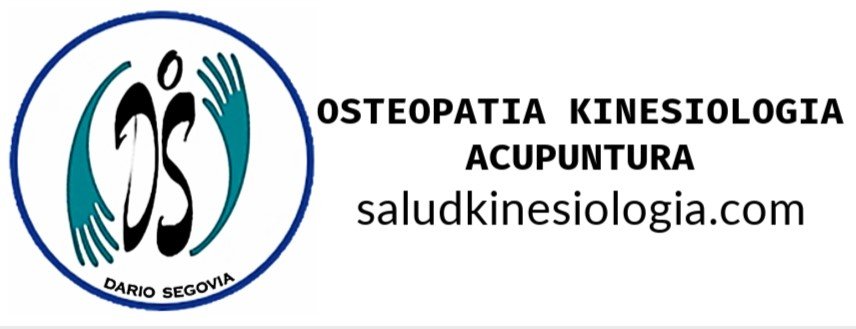 saludkinesiologia.com